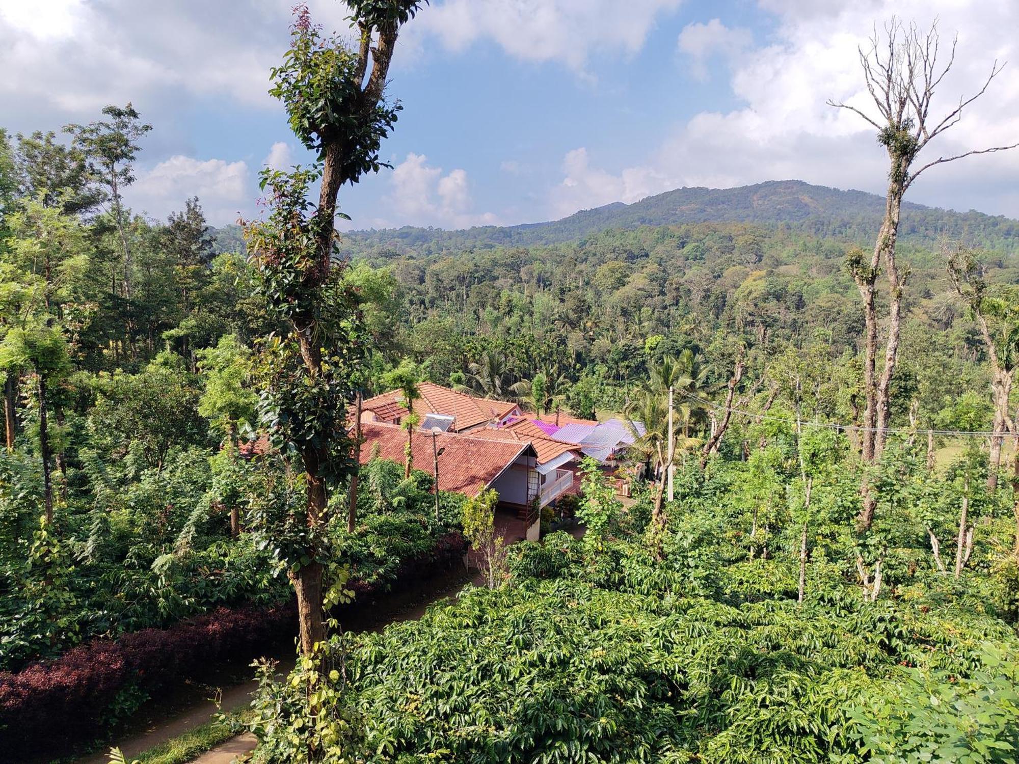 Shivalaya Homestay, Madikeri Siddapura  Luaran gambar
