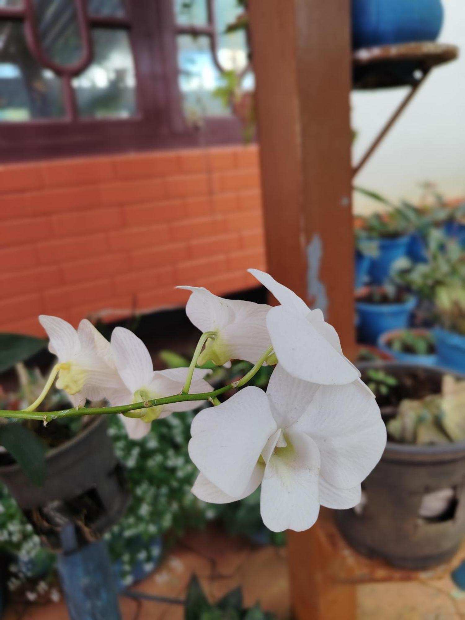 Shivalaya Homestay, Madikeri Siddapura  Luaran gambar