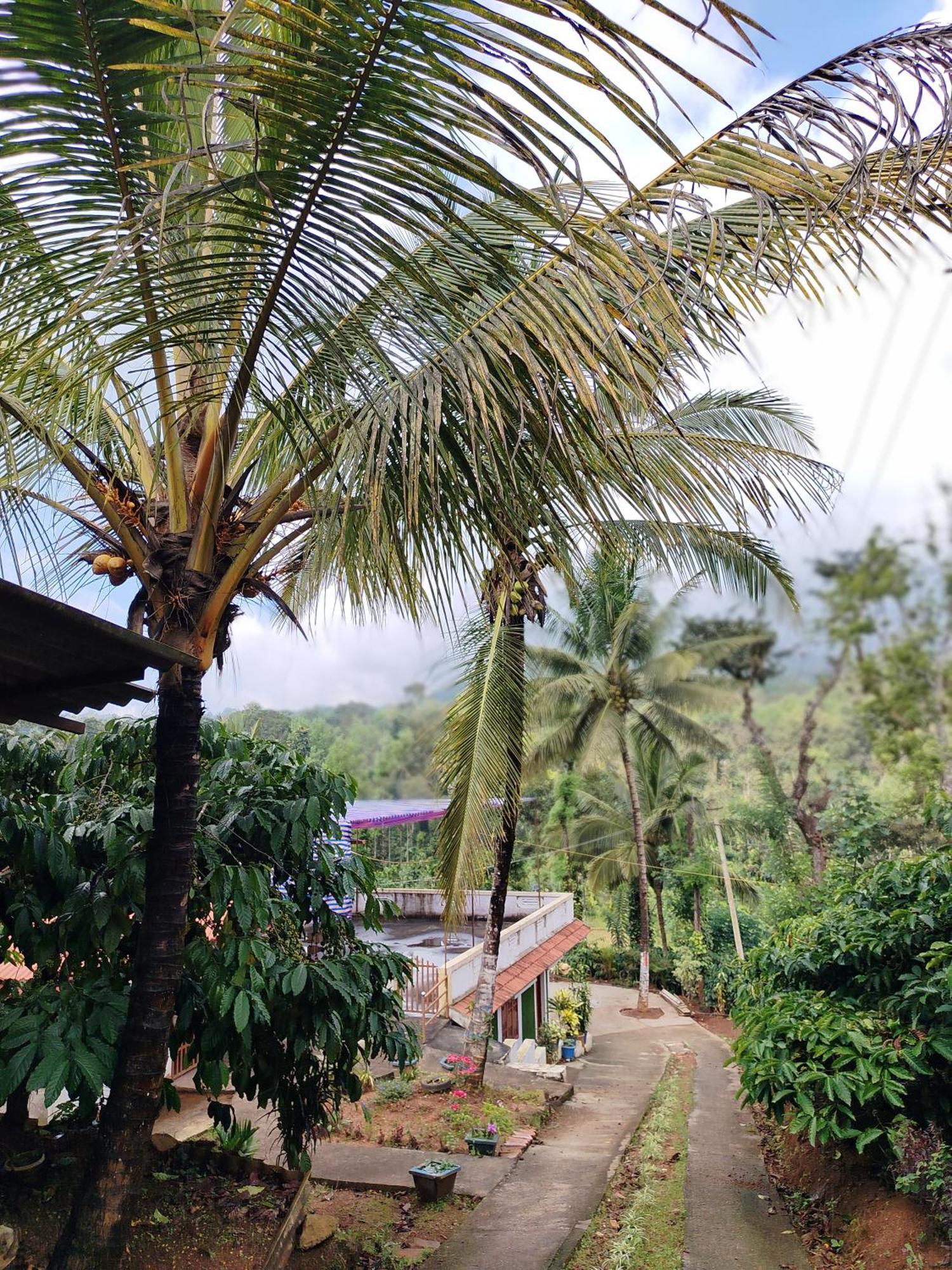 Shivalaya Homestay, Madikeri Siddapura  Luaran gambar